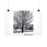 Horizontal Fine Art Prints (Posters) - TMaria's Artistry & Associates